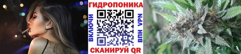 Шишки марихуана индика mega рабочий сайт Спасск-Дальний